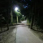 Rosa 3* Dąbki