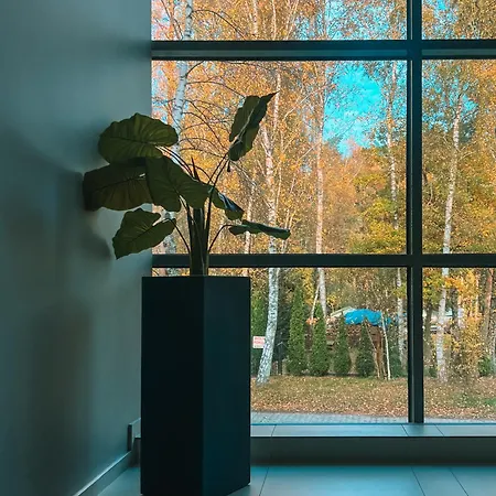 Rosa Aparthotel