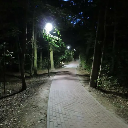 Rosa 3* Dąbki